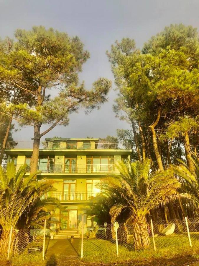 Shekvetili Green House Ngoại thất bức ảnh