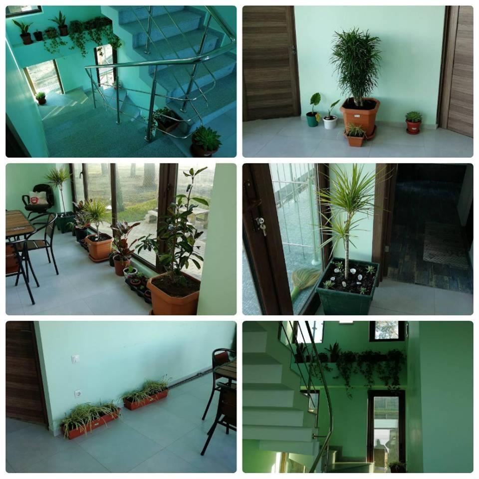 Shekvetili Green House Ngoại thất bức ảnh
