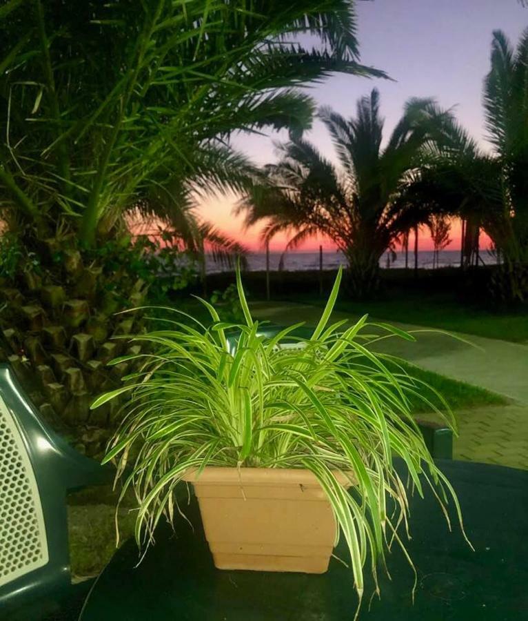 Shekvetili Green House Ngoại thất bức ảnh